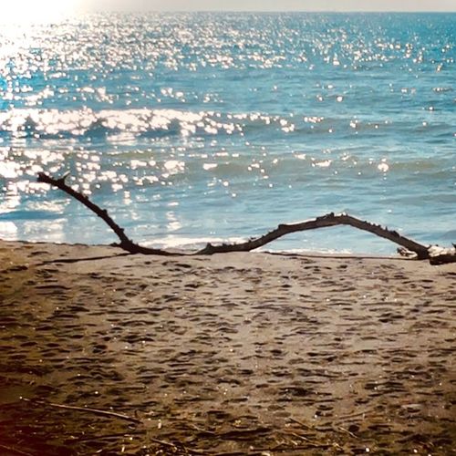 Small house on the beach